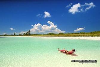 Florida Beaches Beach Photo Desktop Background Nature