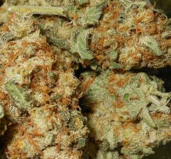 Pineapple Express Weed Wallpaper Jpg