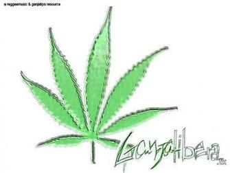 Windows Xp Marijuana Edition