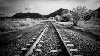 Photography Black And White Nature Wallpaper HD