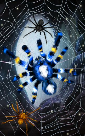 Spider Live Wa Screenshot Thumbnail