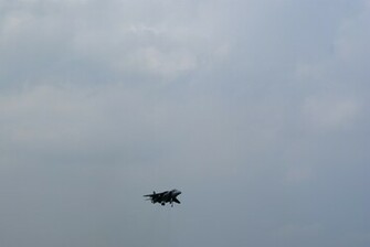 Harrier Wallpaper