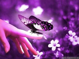 Flowers And Butterflies Wallpaper Full HD