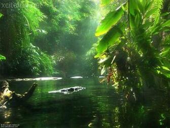 Most Beautiful Nature Wallpaper