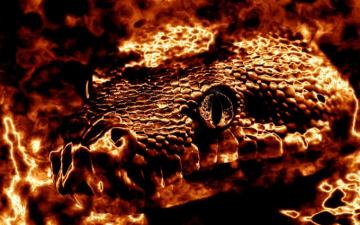 Fire Snake Wallpaper By Softmage