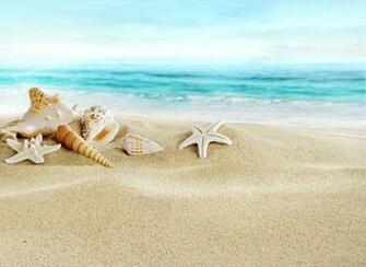 Seashells Sand Beach Sea Wallpaper Photos