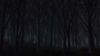 Wallpaper Forest Trees Background Dark 4k Ultra