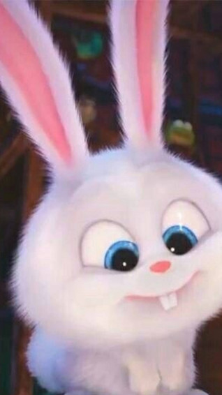 Top White Rabbit Wallpaper Full HD 4k To Use