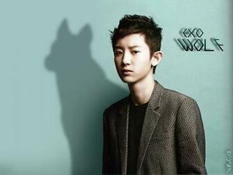 Park Chanyeol Exo Wallpaper Wide HD