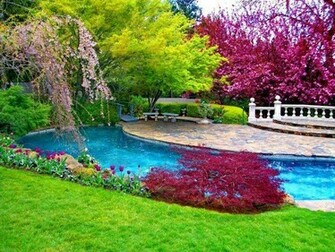 Colorful Flower Natural Scene Wallpaper