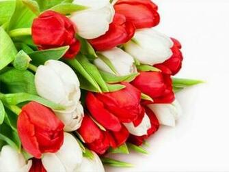 Very Beautiful Flowers Wallpaper Pictures