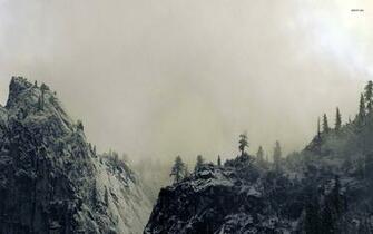 Snowy Alpine Forest Wallpaper Nature