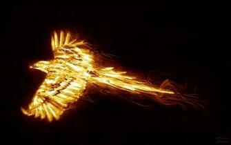 Fiery Horse And Phoenix Double Wallpaper