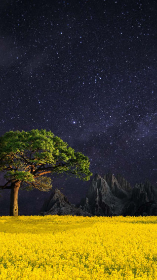 Landscape Wallpaper HD iPhone