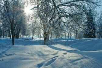 Beautiful Nature Winter Wallpaper