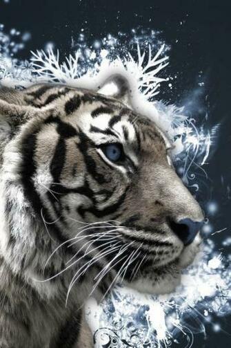 White Tiger Desktop Wallpaper