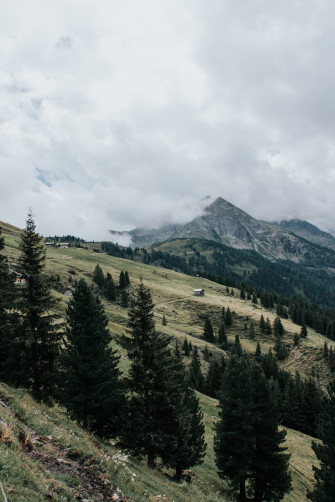 A Scenic Of Mountain Range With Pine Trees Photo
