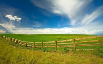 Spring Wallpaper Background Green Nature