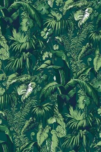 Wallpaper Galore