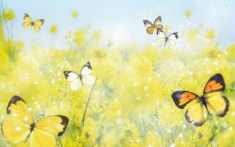 Yellow Butterfly Wallpaper Beautiful Butterflies With Flowers