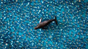 Black Fish Toy On Blue Pearls Wallpaper Stream