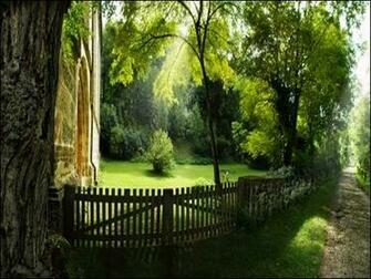 Beautiful Pathway Summer Wallpaper