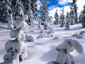 Winter Desktop Background Photos Pictures Image