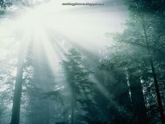 Calming Desktop Wallpaper Serene