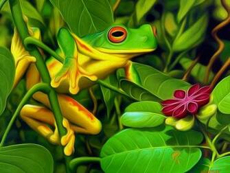 Tree Frog Wallpaper And Background Id