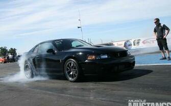 Ford Mustang Terminator Cobra