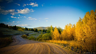 Gold Of The Backroads By Kkart