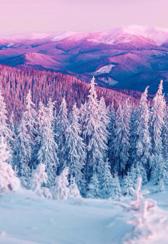 Snow 4k Wallpaper