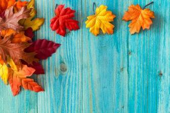 Lay Fall Leaves Wallpaper Widescreen