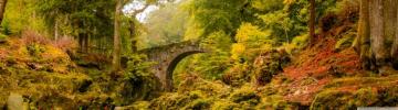 Foley S Bridge Autumn Ultra HD Desktop Background Wallpaper For