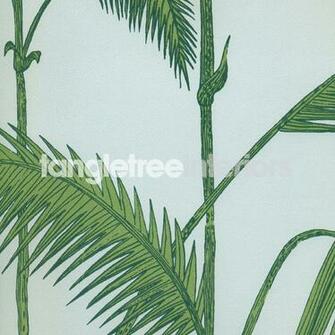 Palm Leaves