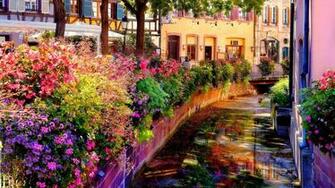 Country Garden Path HD New Wallpaper
