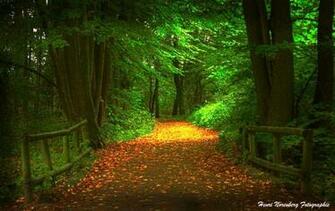 Light My Way High Quality And Resolution Wallpaper On