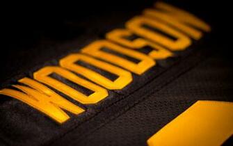 Charles Woodson Alternative Green Bay Packer Jersey Photo