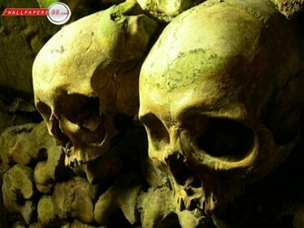 Scary Wallpaper Background Skull Wa