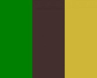 Resolution Office Green Old Burgundy And Gold