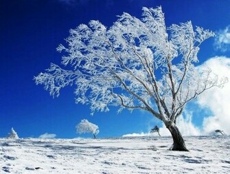 Winter Solstice Wallpaper The Doomsday