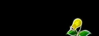 Pokemon Bellsprout Black Background