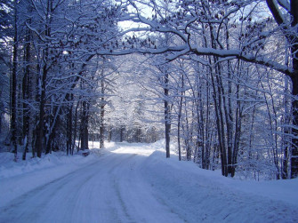 Snow Wallpaper