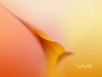 Sony Vaio Wallpaper