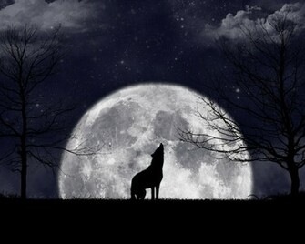Wolf Howling At The Moon Wallpaper By Zanardo