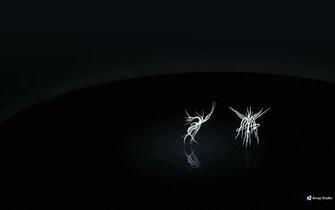 HD Wallpaper Laptop Widescreen