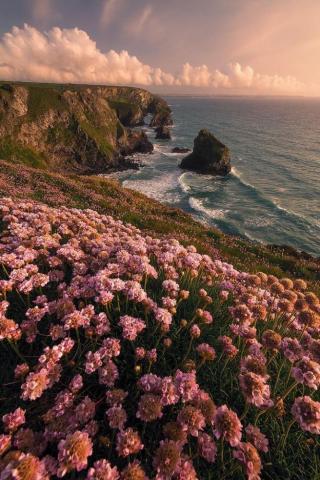 Image About Beautiful In Wallpaper By Lol What
