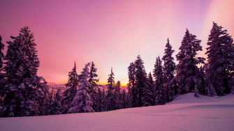 Wallpaper Trees Forest Snow Winter Sunrise Sky