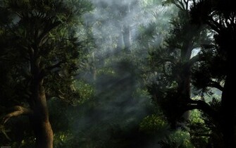 Black Forest Germany Wallpaper