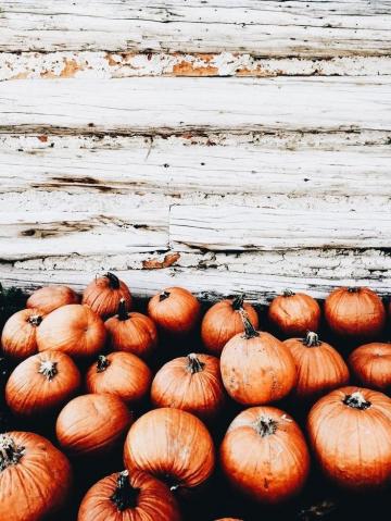 Tessa Hooper On Autumn Fall Pictures Wallpaper